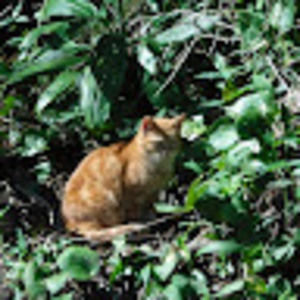 Meet your Posher, Don